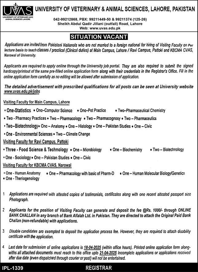 Visiting / Teaching Faculty Jobs in University of Veterinary and Animal Sciences Lahore 2025