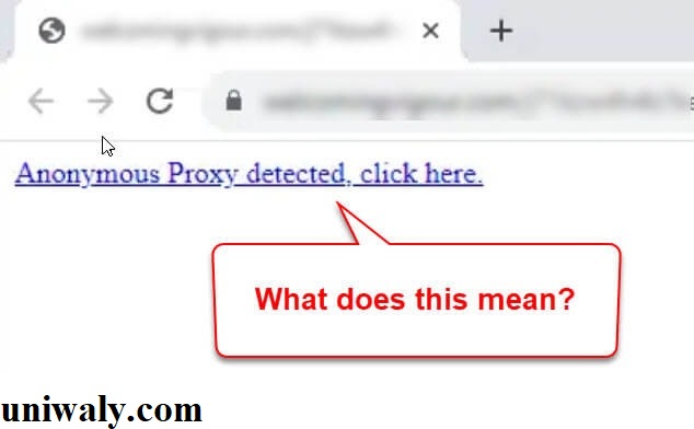 Understanding Anonymous Proxy Detection: Challenges, Implications, and Solutions